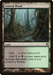 Tainted Wood (78) [Duel Decks: Jace vs. Vraska]