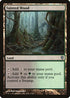 Tainted Wood (78) [Duel Decks: Jace vs. Vraska]