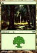 Forest - Innistrad Cycle [Magic Premiere Shop]