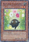 Naturia Cosmobeet (DT02-EN072) [Duel Terminal 2]