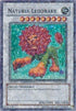 Naturia Leodrake (DT02-EN088) [Duel Terminal 2]