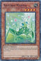 Naturia Mantis (DT04-EN079) [Duel Terminal 4]