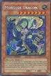 Montage Dragon (CT05-ENS01) [2008 Collectors Tin]