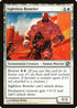 Sightless Brawler (24) [Journey Into Nyx]
