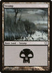 Swamp (376) [Coldsnap Theme Deck Reprints]