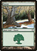 Forest (381) [Coldsnap Theme Deck Reprints]