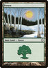 Forest (382) [Coldsnap Theme Deck Reprints]
