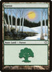 Forest (382) [Coldsnap Theme Deck Reprints]
