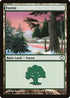 Forest (383) [Coldsnap Theme Deck Reprints]