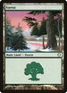 Forest (383) [Coldsnap Theme Deck Reprints]