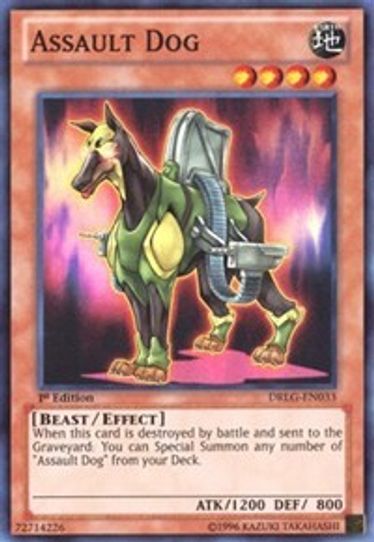 Assault Dog (DRLG-EN033) [Dragons of Legend]