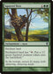 Squirrel Nest (180) [Conspiracy]