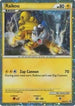 Raikou HGSS (HGSS19) [HGSS Promos]