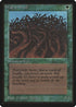 Wall of Wood [Beta Edition]
