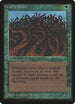 Wall of Wood [Beta Edition]