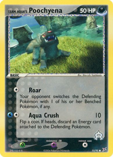 Team Aqua's Poochyena (55/95) [EX: Team Magma Vs Team Aqua]