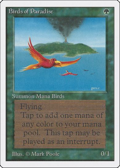 Birds of Paradise [Unlimited Edition]