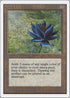 Black Lotus [Unlimited Edition]