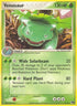 Venusaur (6) [POP Series 2]