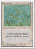 Green Ward [Unlimited Edition]