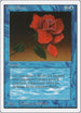 Mana Short [Unlimited Edition]