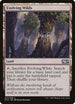 Evolving Wilds (243) [Magic 2015 (M15)]