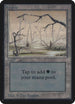 Swamp (B) [Alpha Edition]