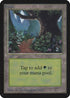 Forest (B) [Alpha Edition]