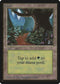 Forest (B) [Beta Edition]