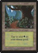 Forest (B) [Beta Edition]