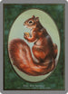 Squirrel Token [Unglued]