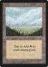 Plains (A) [Beta Edition]