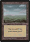 Plains (C) [Beta Edition]