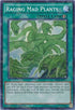 Raging Mad Plants (Shatterfoil) (BP03-EN165) [Battle Pack 3: Monster League]