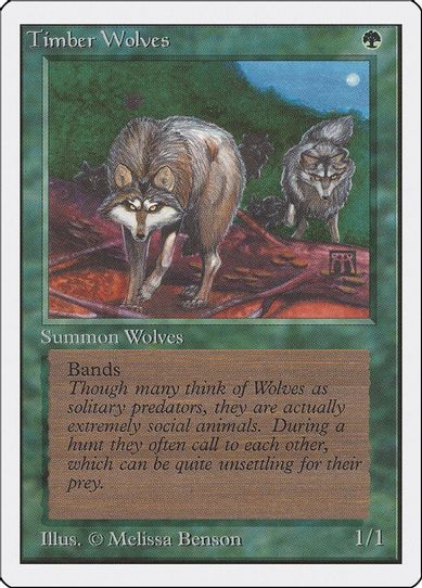 Timber Wolves [Unlimited Edition]