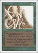 Wall of Brambles [Unlimited Edition]