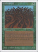 Wall of Wood [Unlimited Edition]
