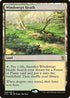 Windswept Heath (248) [Khans of Tarkir]