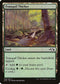 Tranquil Thicket [Duel Decks: Anthology]
