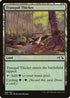 Tranquil Thicket [Duel Decks: Anthology]