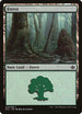 Forest (Garruk vs Liliana) (28) [Duel Decks: Anthology]