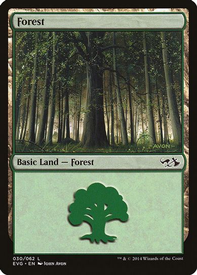 Forest (Elves vs Goblins) (30) [Duel Decks: Anthology]