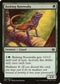 Basking Rootwalla [Duel Decks: Anthology]