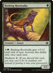 Basking Rootwalla [Duel Decks: Anthology]