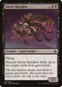 Faerie Macabre [Duel Decks: Anthology]