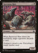 Ravenous Rats [Duel Decks: Anthology]
