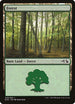 Forest (Elves vs Goblins) (29) [Duel Decks: Anthology]