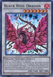 Black Rose Dragon (LC-EN) (LC05-EN004) [Legendary Collection 5D's]