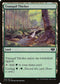 Tranquil Thicket (316) [Commander 2014]