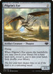Pilgrim's Eye (262) [Commander 2014]